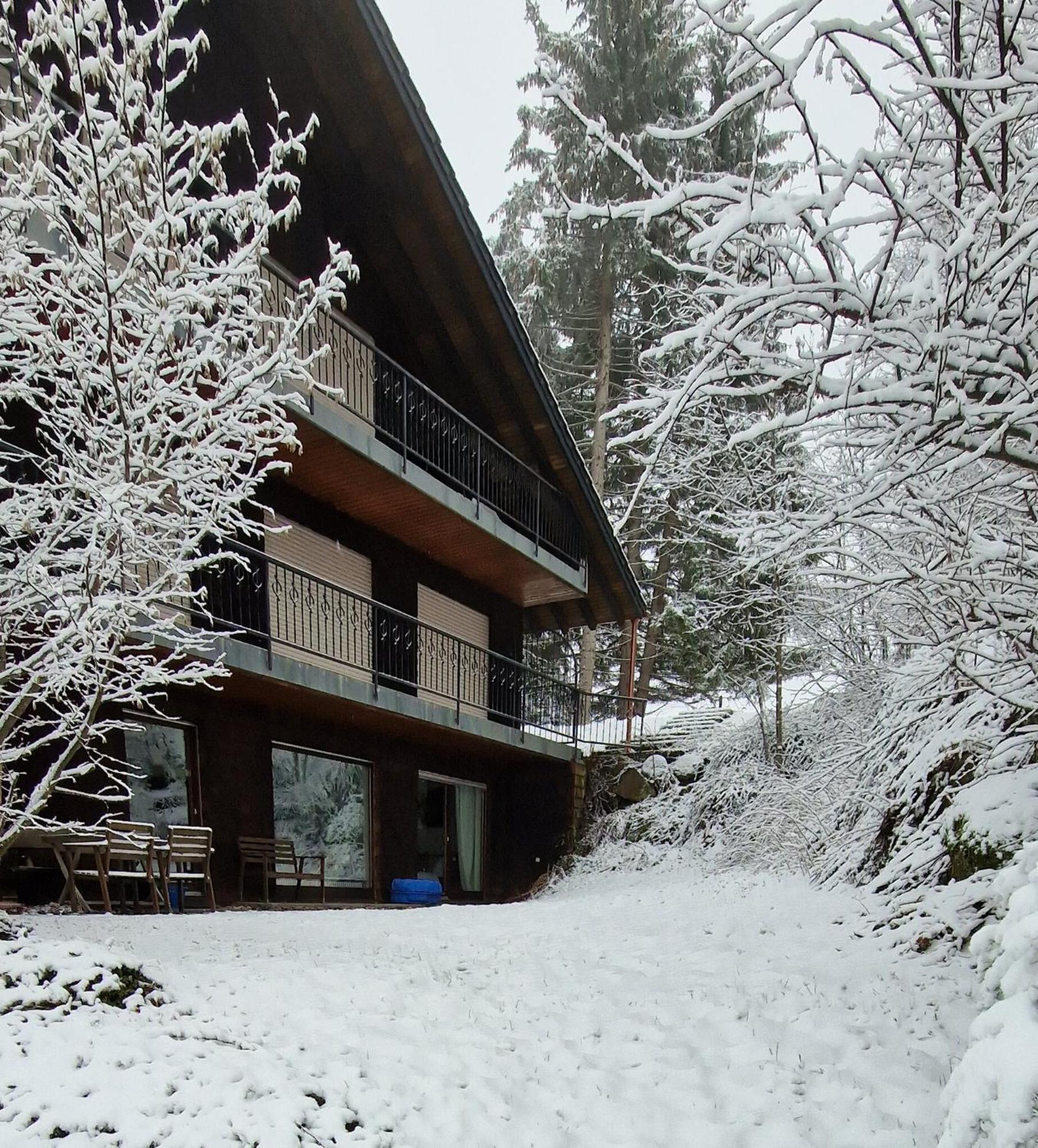 Ferienwohnung In Schoenwald Schwarzwald Buitenkant foto